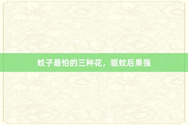蚊子最怕的三种花，驱蚊后果强