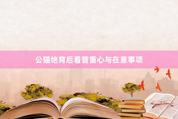 公猫绝育后看管重心与在意事项
